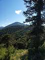 thn_NP Huerquehue4.jpg